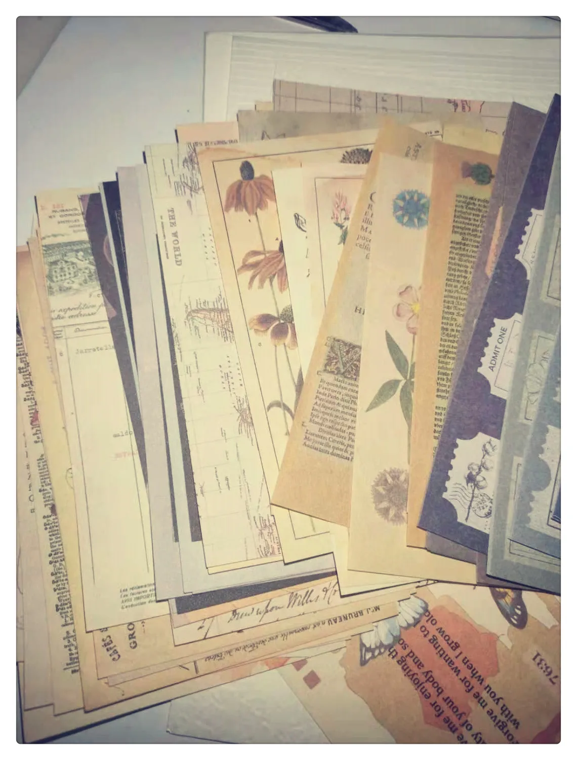 210 PcsRetro Plant Collection Notes VintageTicker Stickers Material Memo Stationery DIY Diary Planner Scrapbooking Label Journal