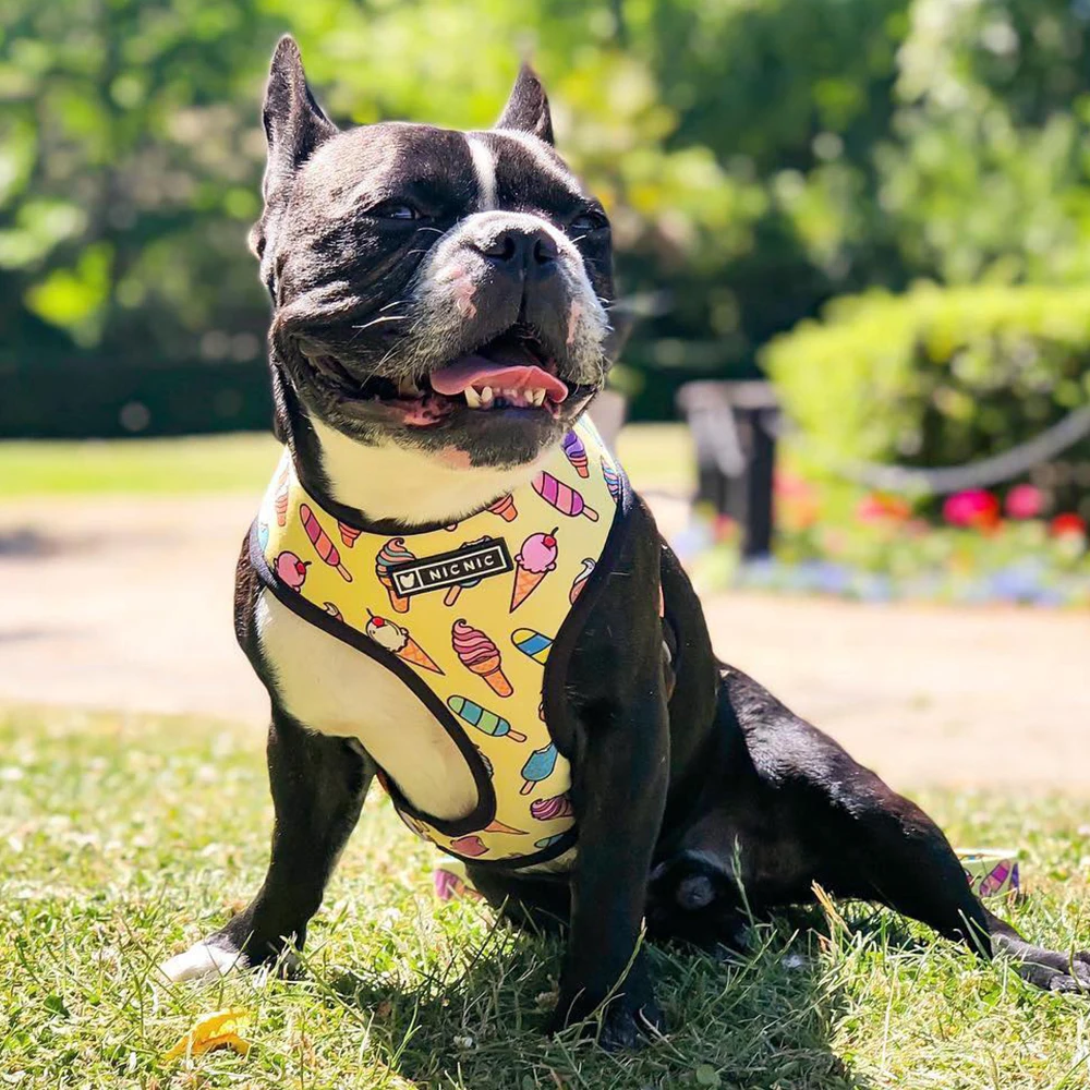 Summer Small Dog Harness No Pull Dog Harnesses Vest for Medium Large Dogs Harness Leash Set Breathable Pets Puppy French Bulldog