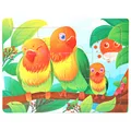 12pcs Model F