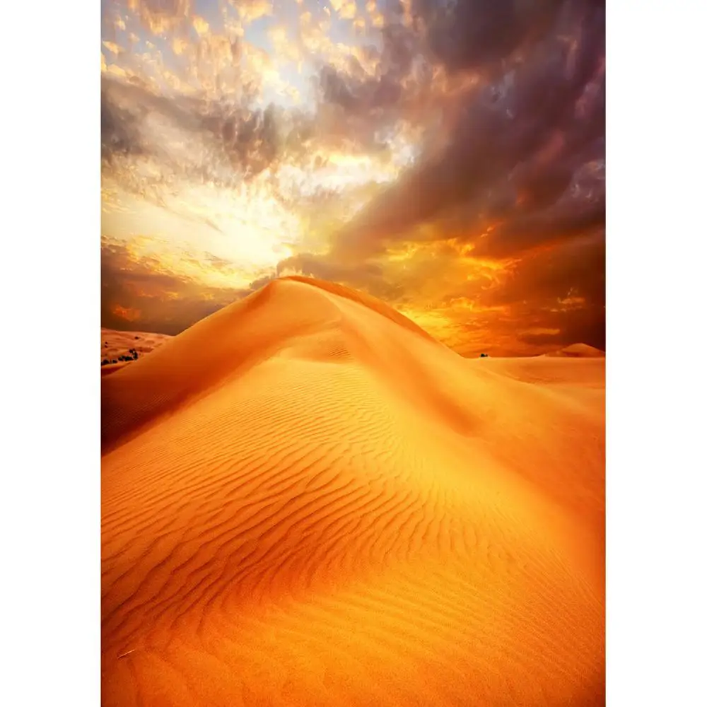 Desert Sand Ripple Photo Background Customized Backdrop Photography Props for Children Baby Portrait Pets Scenery Photoshoot