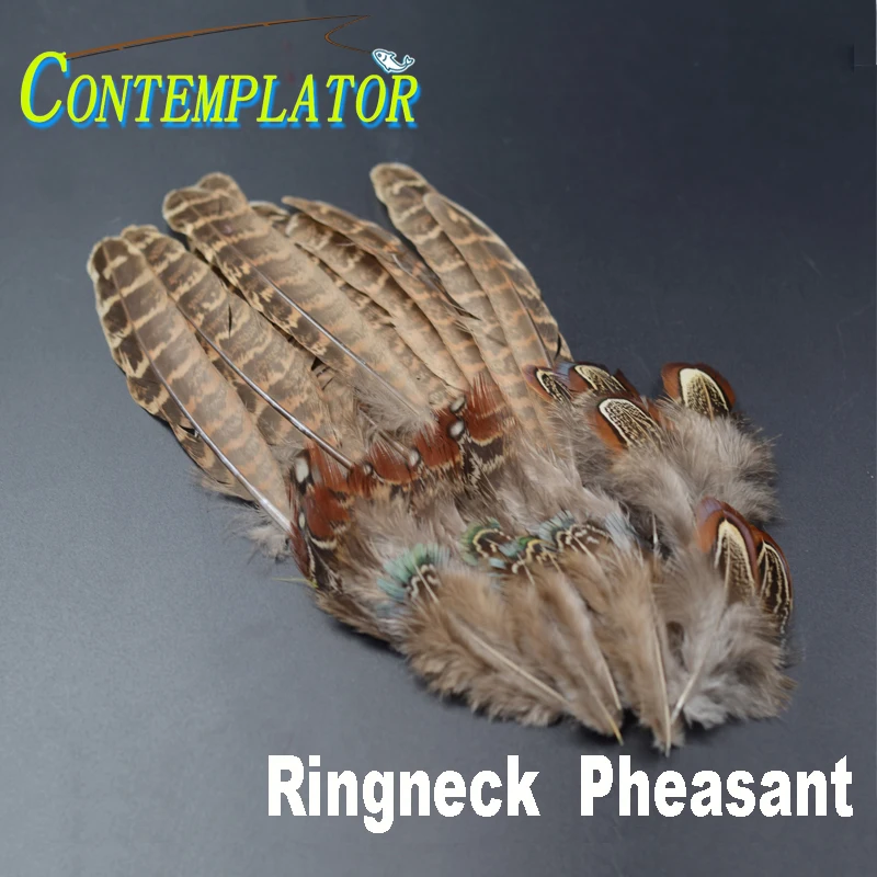 Plumas de faisán Ringneck para ninfa y Caddis – Sillín y cuello
