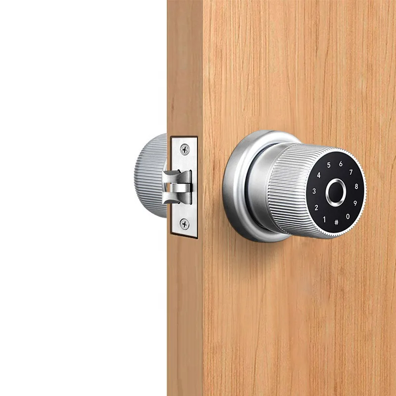 Amerikanischen Standard Hohe qualität 50mm 60mm 70mm einzigen latch smart lock einsteckschloss für holz tür – Detail 6