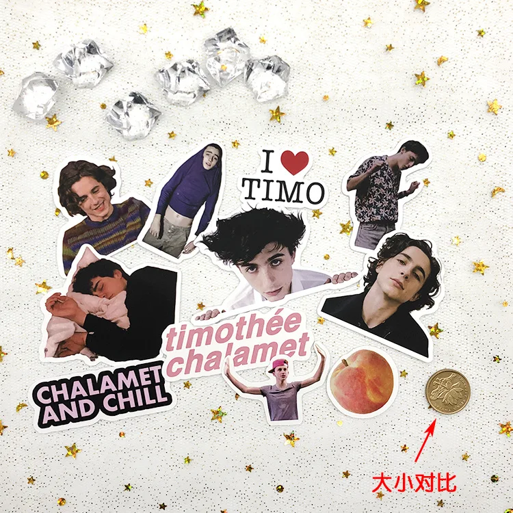 20 PCS Timothée Chalamet Photos Picture Sticker Daily Decorations Christmas New Year Birthday Gift