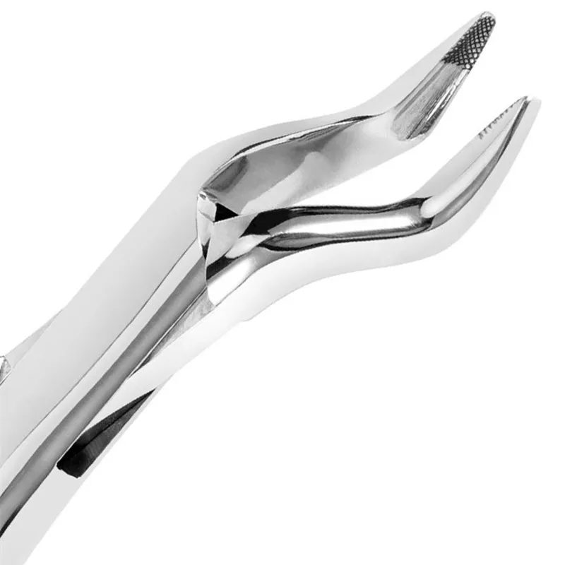 1 sztuk Dental dorosłych zębów ekstrakcja szczypce Forcep zęby ekstrakcja szczypce Forcep chirurgia stomatologiczna narzędzie Instrument