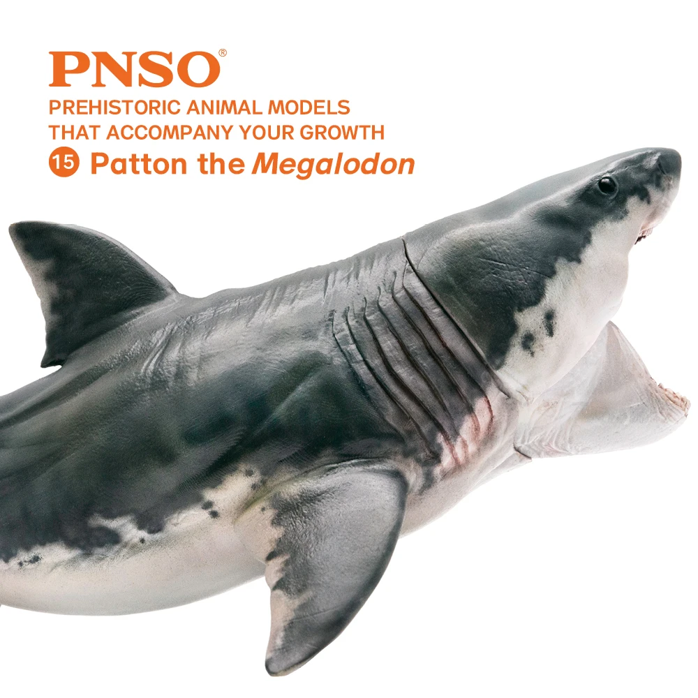 PNSO Prehistoric Animal Models: 15Patton The Megalodon (Big White Shark) 6.2\