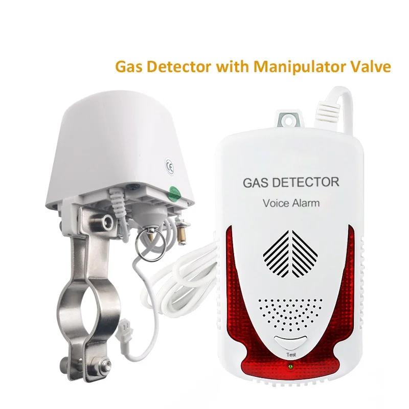 Combustible Gas Detector LPG Natural Gas Leakage Sensor with Voice Alarm DN15(1/2\