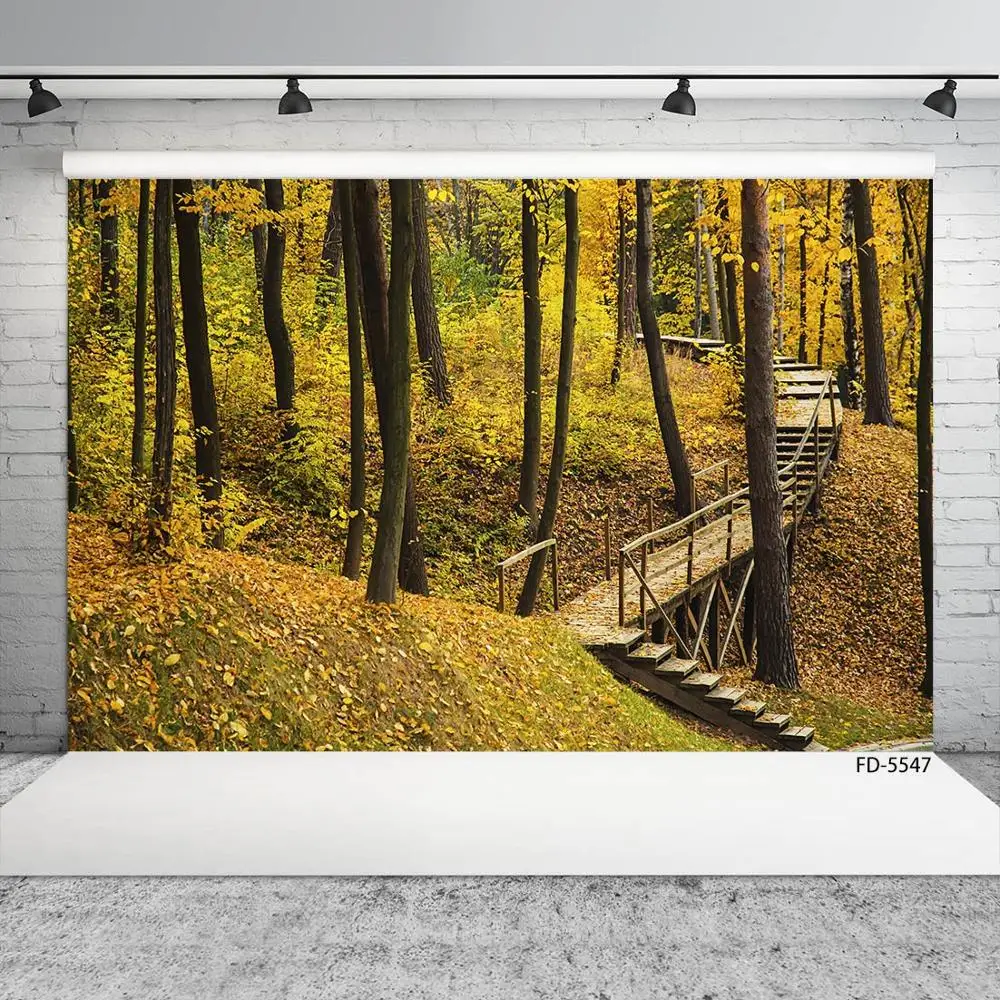 Forest Steps Fallen Leaves Scenery Photography Backdrops Custom Background for Children Baby Portrait Photocall Photo Studio