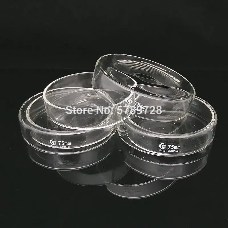 5pcs DIA 75mm Borosilicate glass Petri culture dish Used for the culture of bacteria, cells and lactic acid bacteria in lab