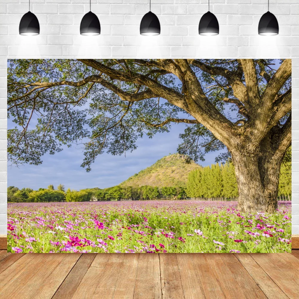 Laeacco Spring Old Tree Green Grass Filed Natural Scenic Photography Backgrounds Poster Photocall Backdrops For Photo Studio