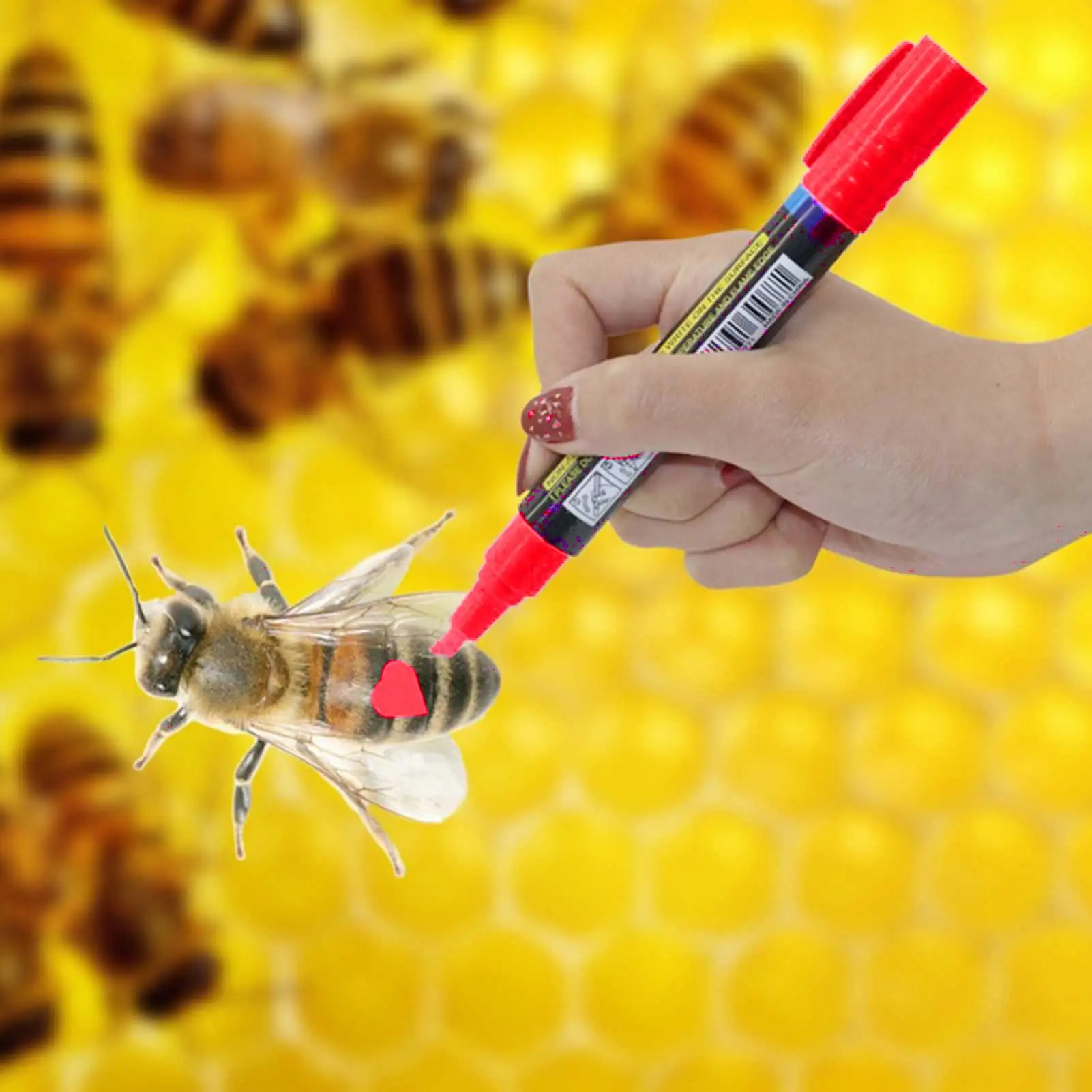 New Hot Queen Bee Marking Beekeeper Marker Pen Beekeeping Plastic Marks Pen 5 Colours White Yellow Red Green Blue Bee Tools