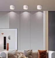 Nordic Modern Surface Mounted Downlight LED Ceiling Light Spotlight Three Light Color Conversion LED Downlight Indoor Lighting 6