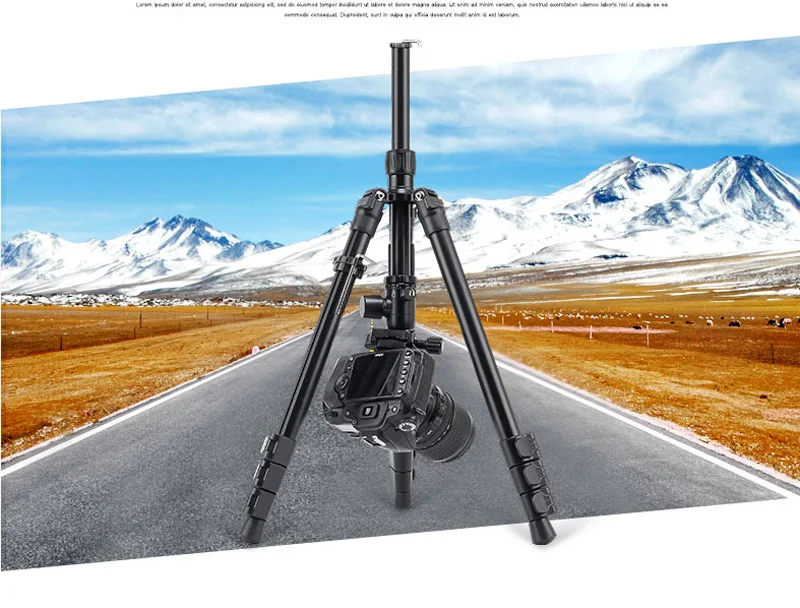 น้ำหนักเบาอลูมิเนียมMonopodสำหรับCanon Nikon Samsungโทรศัพท์M3 ZOMEIแบบพกพาProfessional Travel Tripod