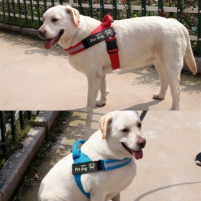 Black Red Blue Light Weight Reflective Pet Dog Harness With Letter Stickers No Pull Adjustable Nylon Harness For Large Dogs image 5