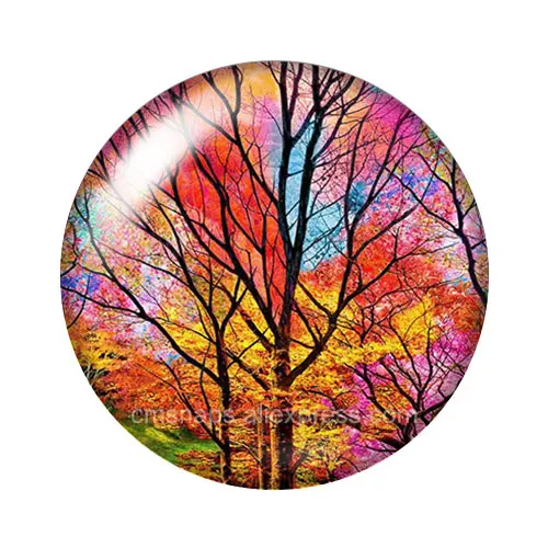 New Colorful Life of Tree beauty paintings 10pcs 12mm/18mm/20mm/25mm Round photo glass cabochon demo flat back Making findings