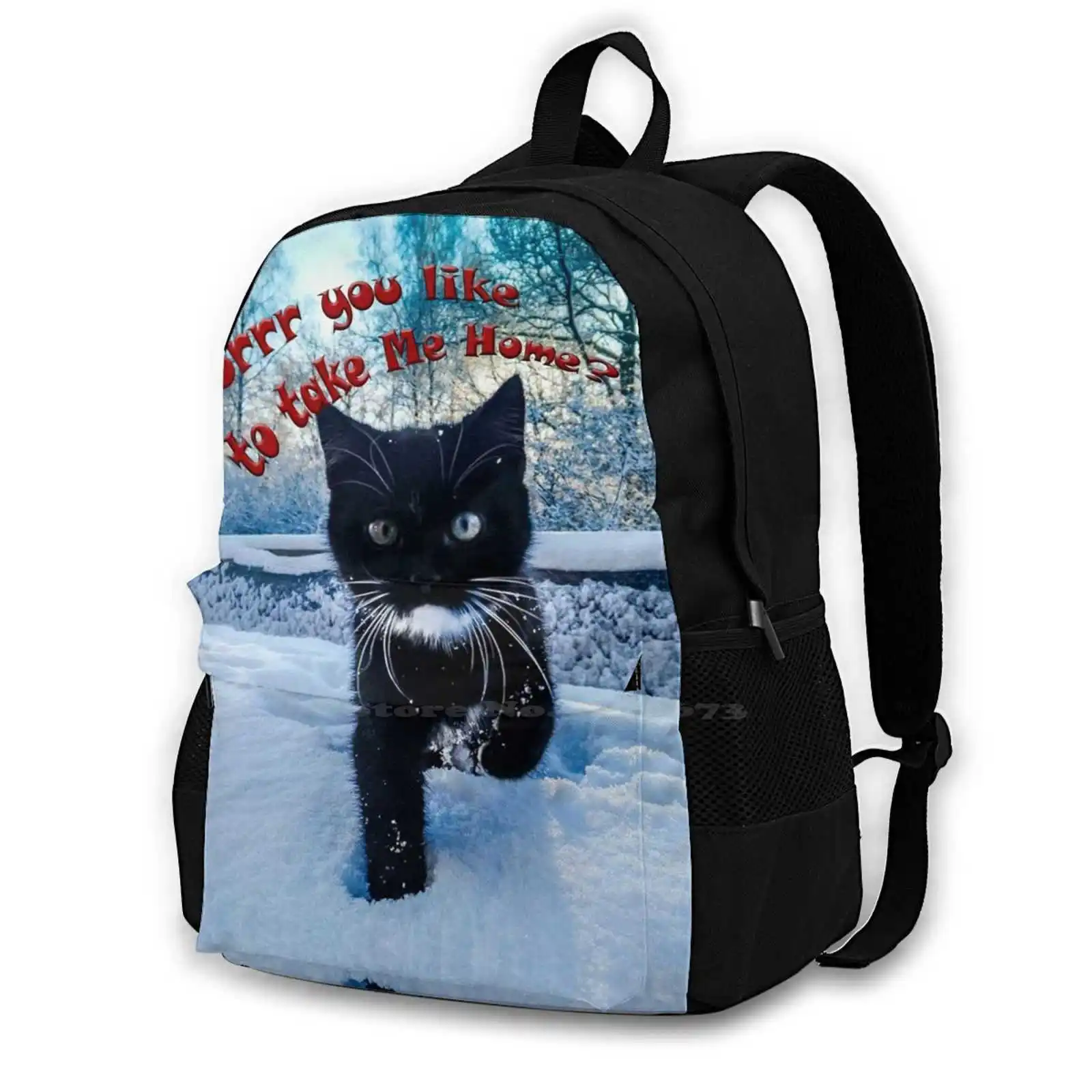 ?Would You Take Me Home ? ? ? School Bags Travel Laptop Backpack Little Cat Home Reception Adoption Snow Cute Cuckoo Purr