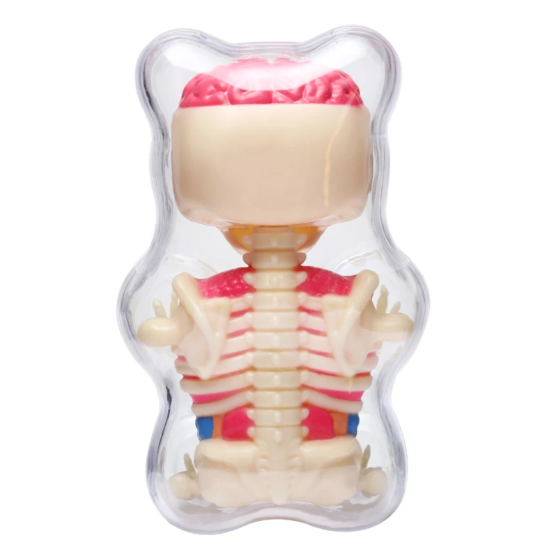 Bear 4D Master Artist Jason Freeny Puzzle Assembly Toy Perspective Skeleton Anatomical Model