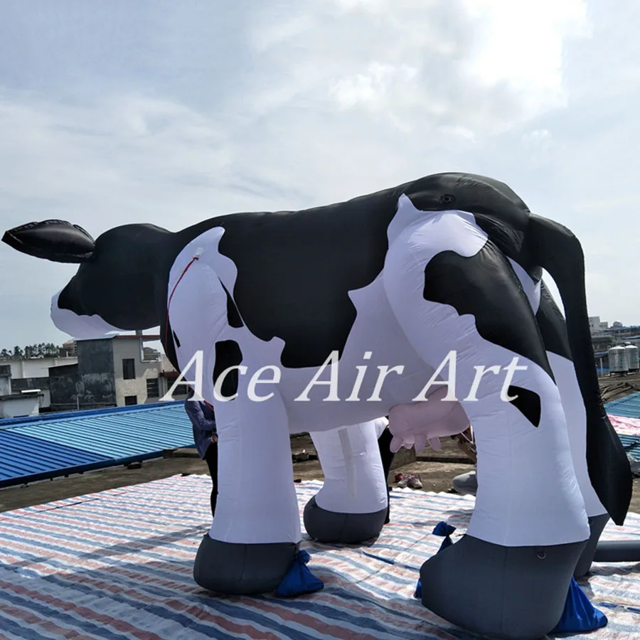 Custom giant inflatable Dutch dairy cows pop up dairy cattle for advertising made in China