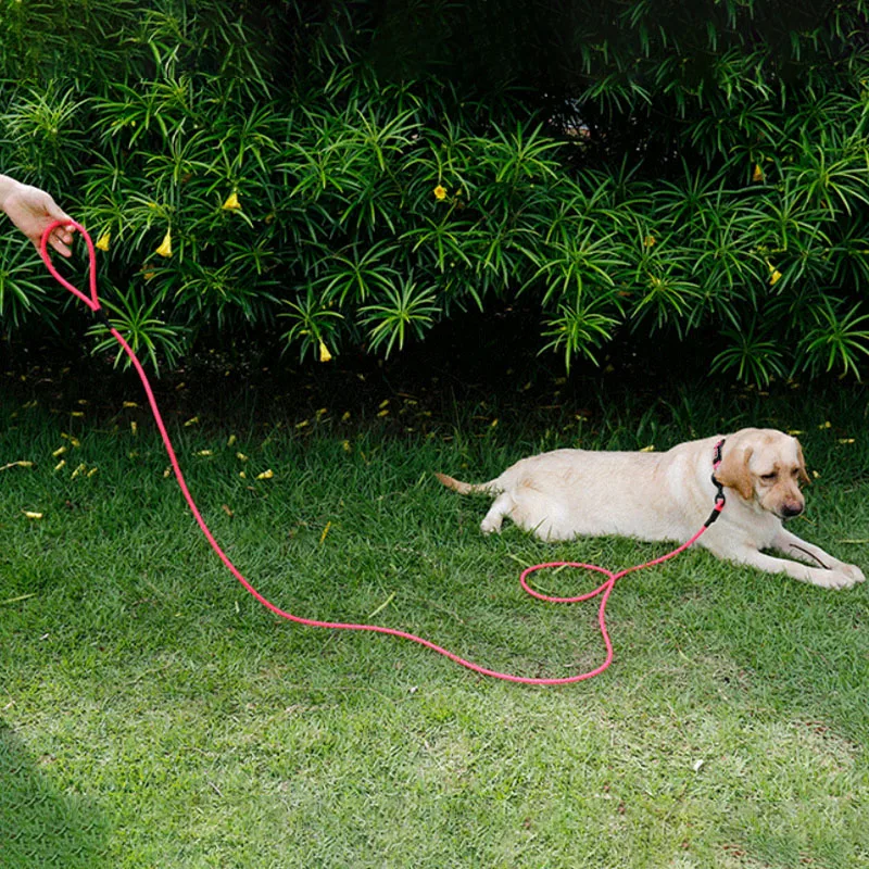 Imagem -02 - Trela Impermeável do Pvc para o Cão de Estimação a Trela do Filhote de Cachorro Pequeno e Grande Treinamento do Recall Seguindo a Obediência Chumbo Longo Corda Fácil de Limpar 5m 10m