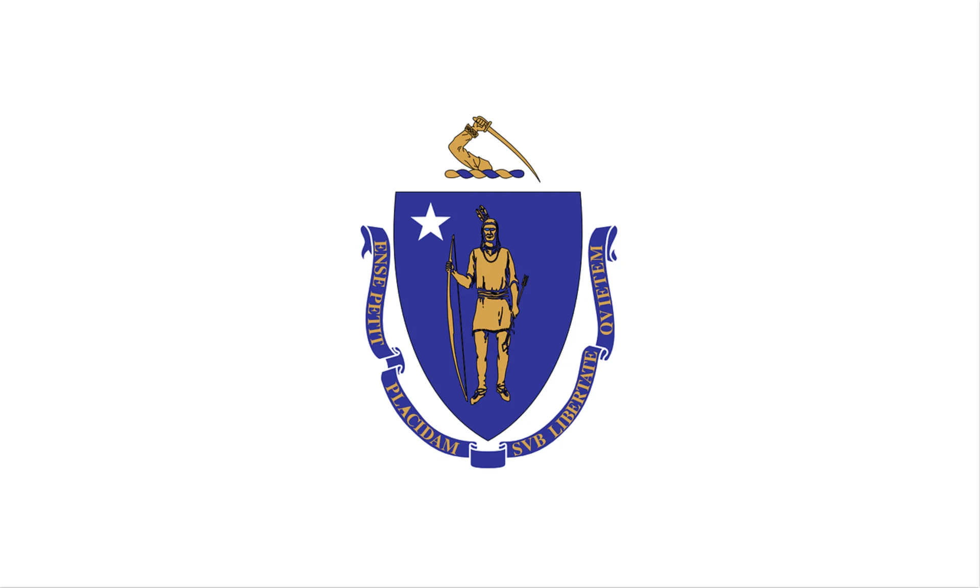 

ELECTION 90x150cm flag of colonial massachusetts