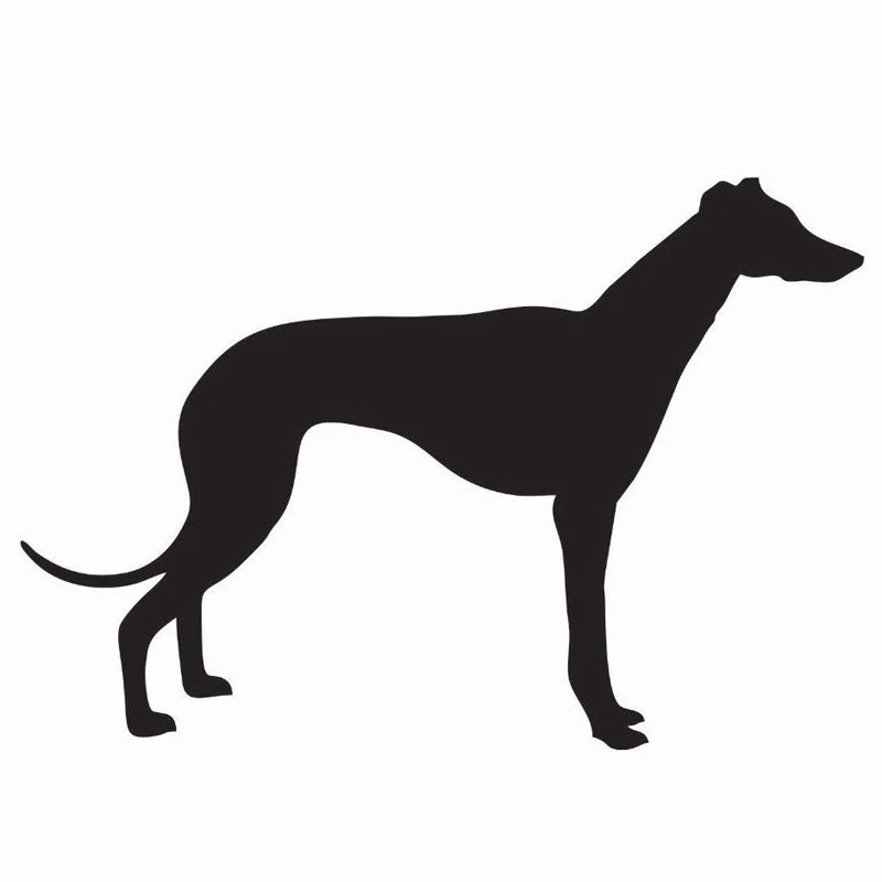 Greyhound Dog Vinyl Die Cut Car Window Laptop Decal Sticker Wall Sticker  Many Colours Choose