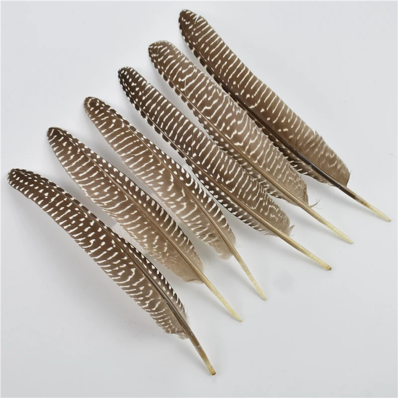 10Pcs/Lot 15-20cm Pheasant Feathers for Crafts Polka Dot Guinea Hen Flank Pearl Feather Headdress DIY Wedding Party Decoration