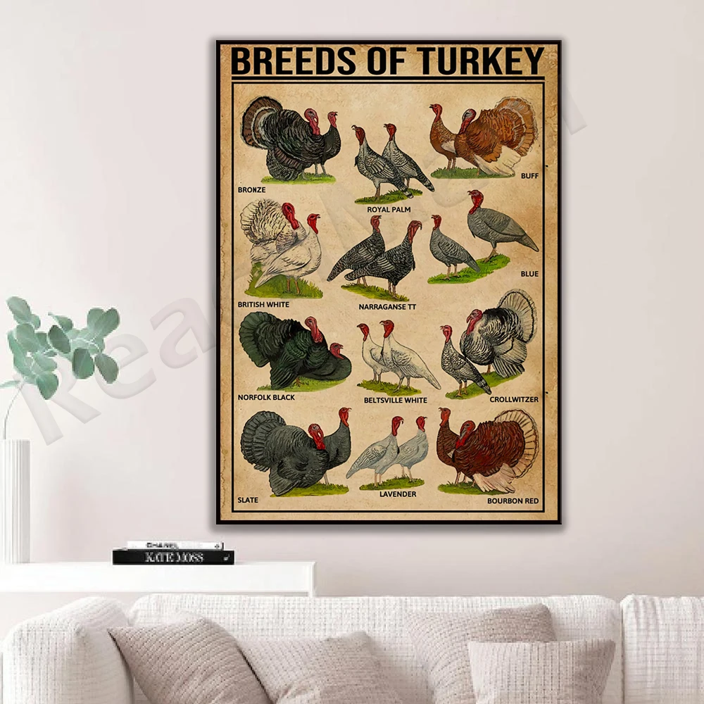 Turkey poster breeds, turkey hunting, turkey butcher poster, kitchen poster, butcher printmaking thanksgiving
