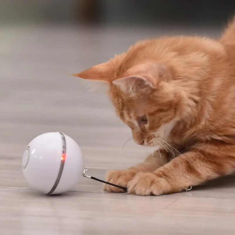 Elétrico LED Rolling Flash Ball Toy para gatos e cães, USB recarregável, colorido, pena, Pet Toys, filhote de cachorro