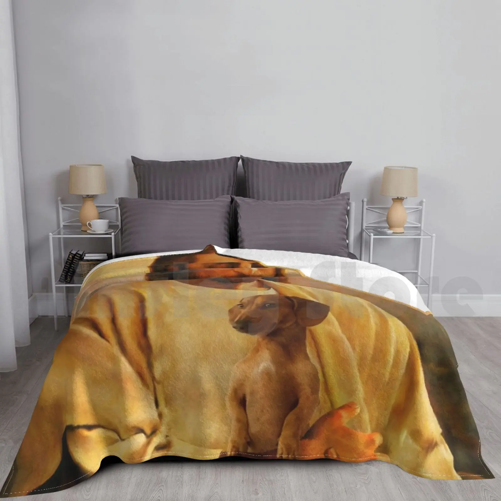 Blanket Jesus And The Funny Dachshund Dog Gift Hat Dog Lover Animal Lover Dog Humor Dog Quote I Love