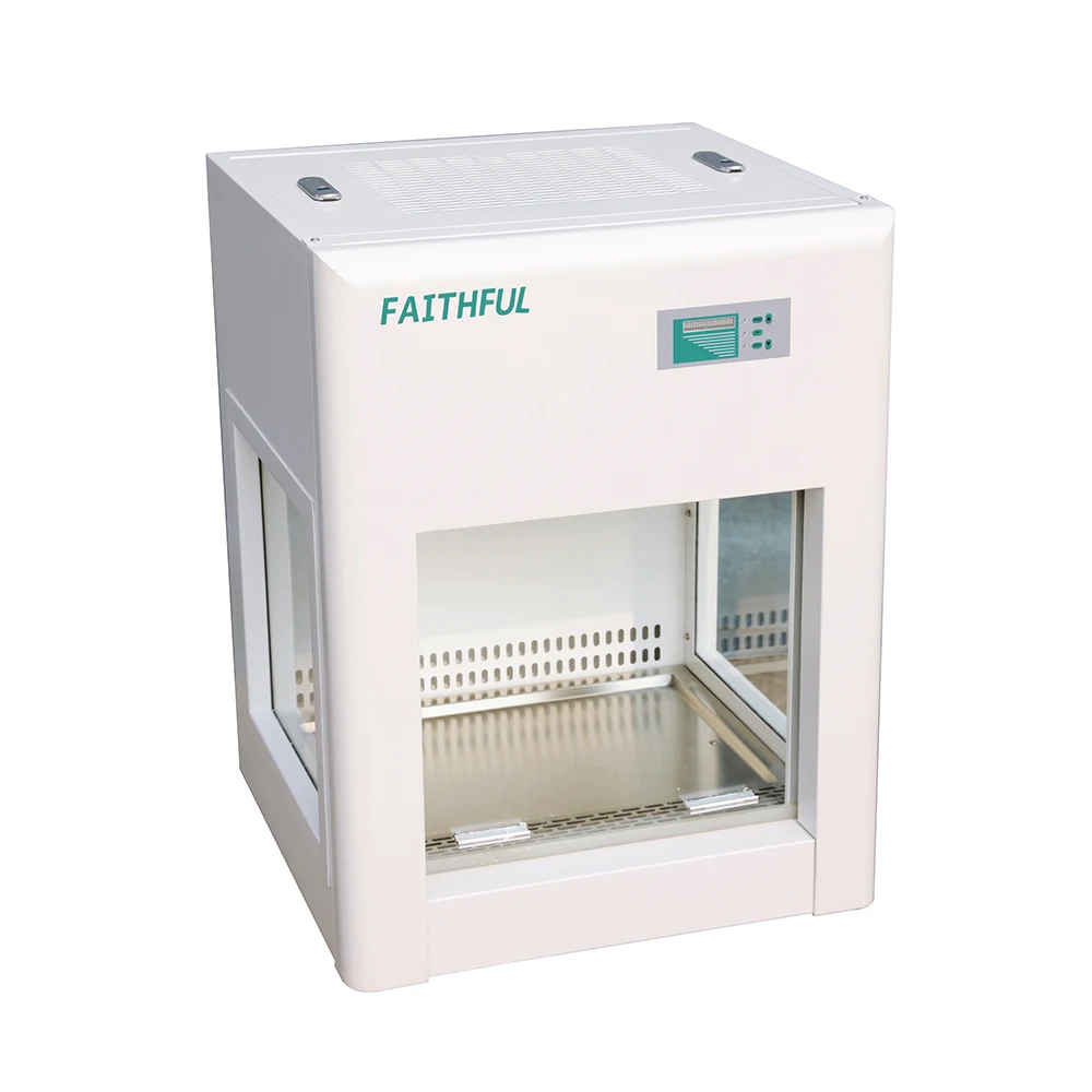 Mini Laminar Flow Cabinet Table Type Clean Equipment for School Hosipital Laboratory Fume Hood CJ-600P CJ-600N with Led Light