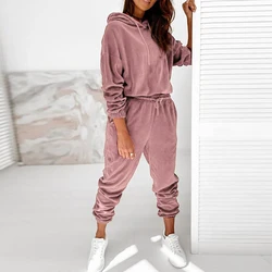 Autumn Winter Velour Tracksuit Women Velvet Set Woman Tracksuit Sets Winter Velvet Suit Two Piece Set Solid Color Hooded Suit