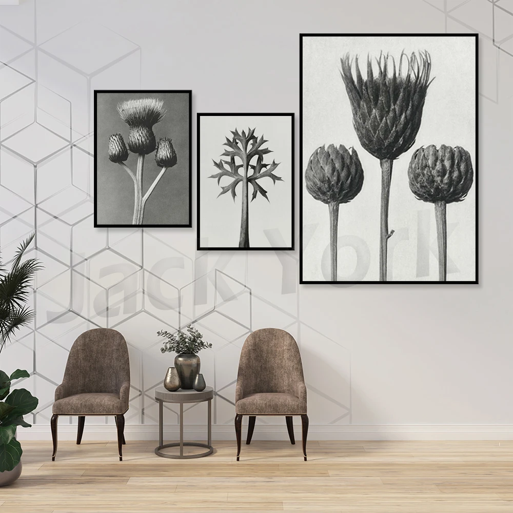 Karl Blossfeldt Poster, Downloadable Art Print, Instant Download
