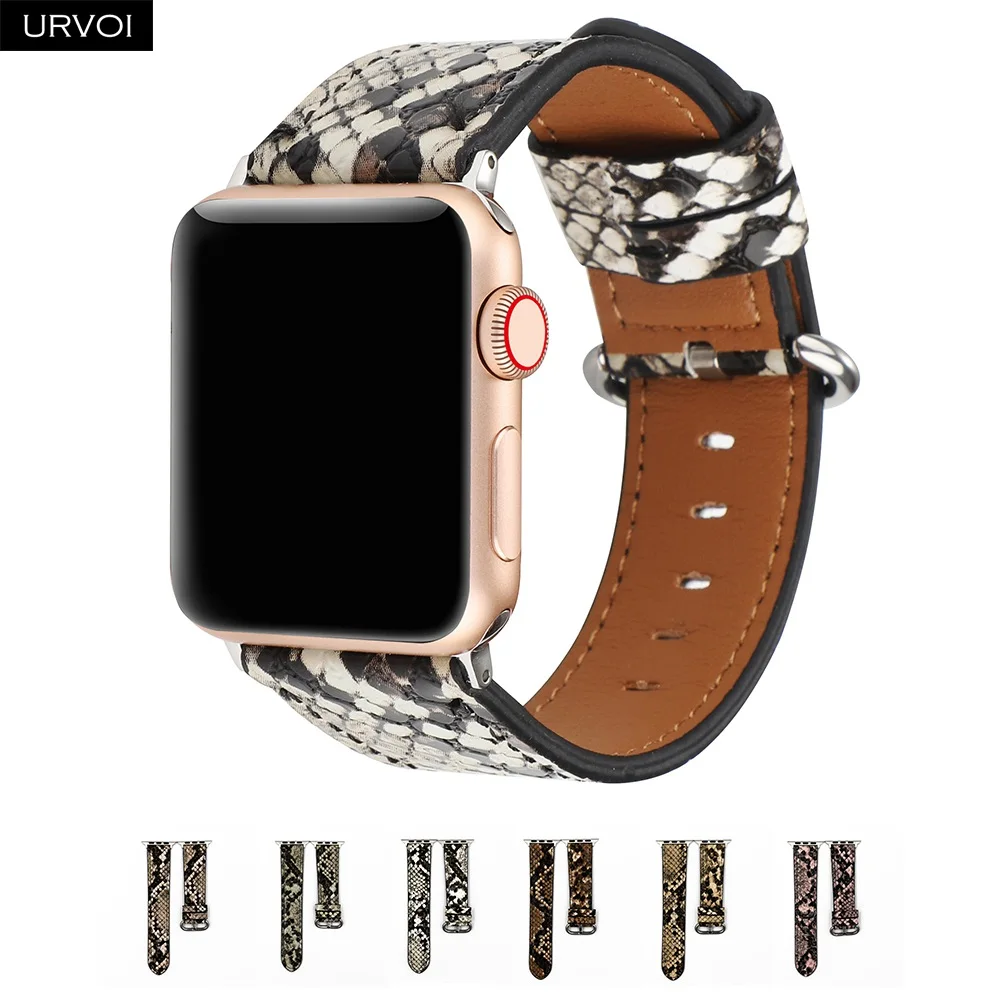 Everything You Need to Know About Python Re Import