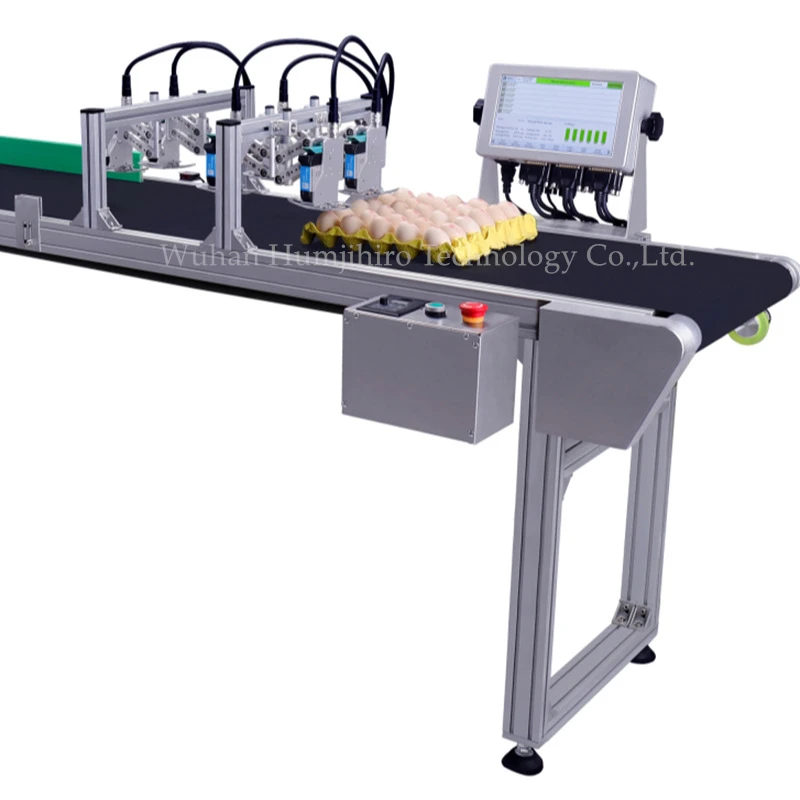 38.1MM-76.2MM 10-inch Online Inkjet Printer PC ConnectionQR Barcode Variable Date Expiry Date Number Logo Thermal Inkjet Printer