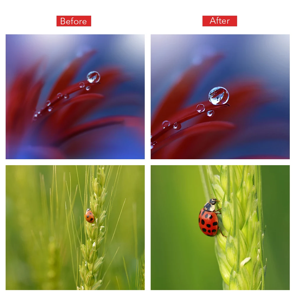 APEXEL 10X Macro Camcorder Lens Mobile Phone Camera Super Macro Lenses For iPhone xs max Samsung s10 Xiaomi 9 Redmi Note 7 pro