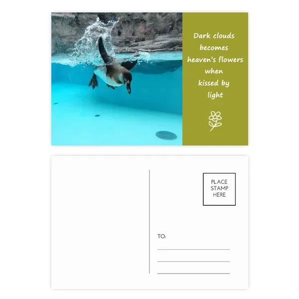 Ocean Antarctic Penguin Science Nature Picture Poetry Postcard Set Thanks Card Mailing Side 20pcs