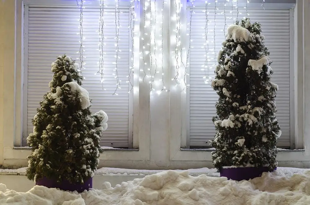 Capiscoการถ่ายภาพฉากหลังกลางแจ้งคริสต์มาสต้นไม้หิมะฤดูหนาวพื้นหลังPhotocallถ่ายภาพPropที่กำหนดเองPhotobooth