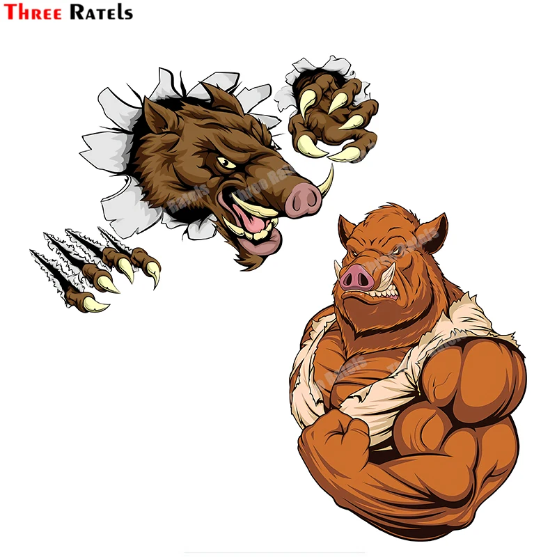 Three Ratels B556 3d Boar Mascot Breaking Through Wall Anime Cartoon  Gitfs Stickers Car&Auto Decals