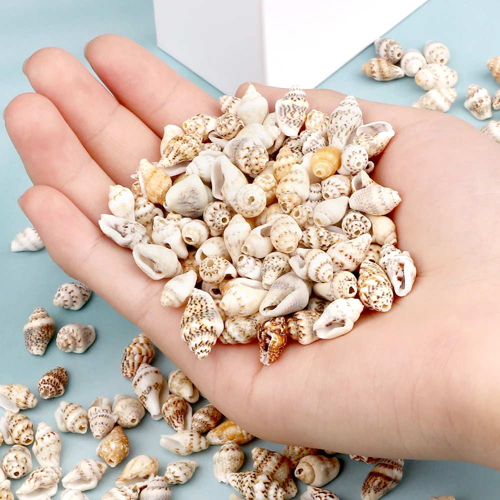 Wholesale Natural Sea Snail Accessories With Holes Small Conch Beads Women For DIY Jewelry Parts Charm Bohemia Bracelet Necklace