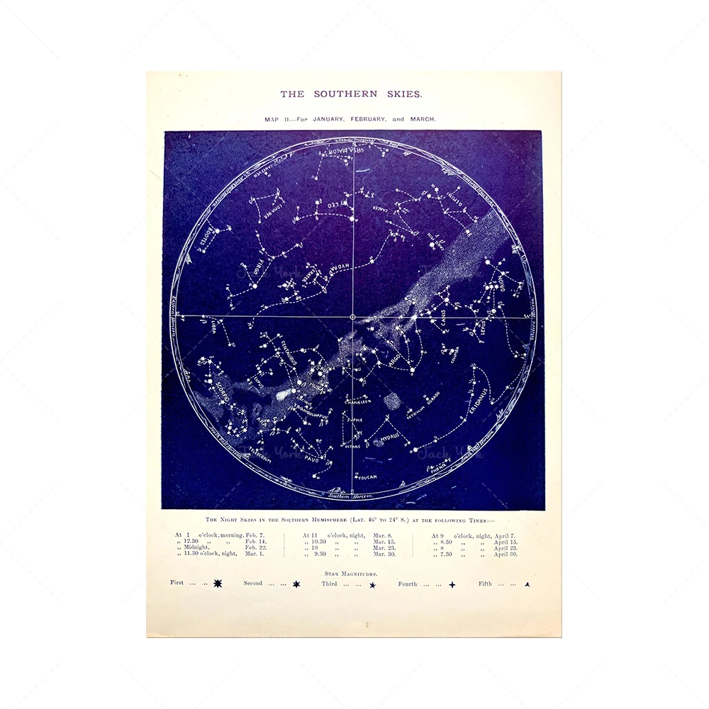 Antique ZODIAC STAR Chart Astronomy Print 1896 Constellation Night Sky Astrology