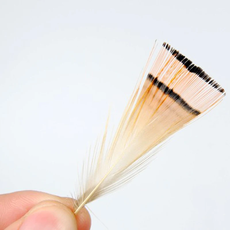 Wifreo Pluma Faisán Dorado Natural para Atar Moscas - imagen 2