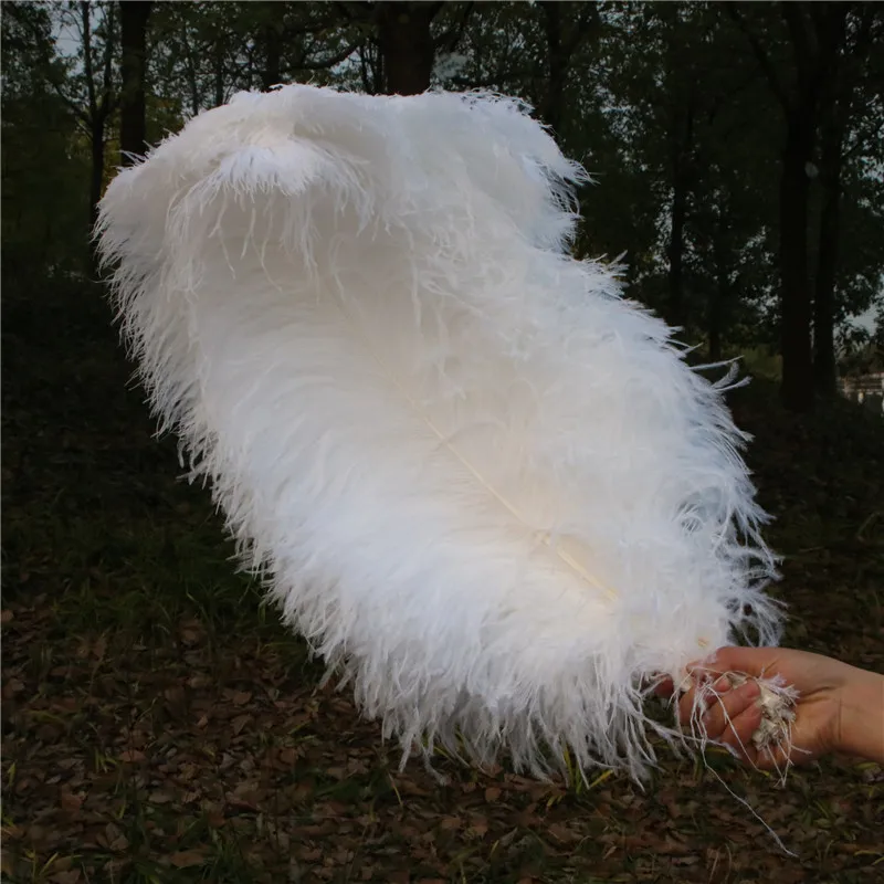 

Hot Sale 100pcs/lot Beautiful White Ostrich Feather 45-50cm/18-20inches Carnival Dancers Accessories For Plumas De Faisan