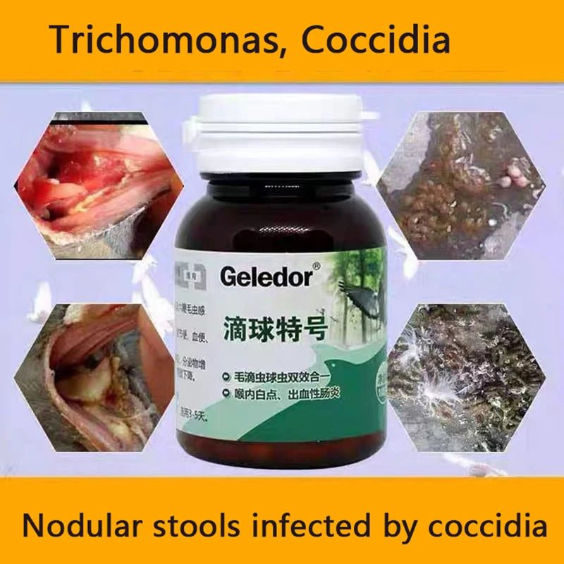 

Trichomonas pigeon coccidia two-in-one infection nodular stool digestive disorders 100 tablets