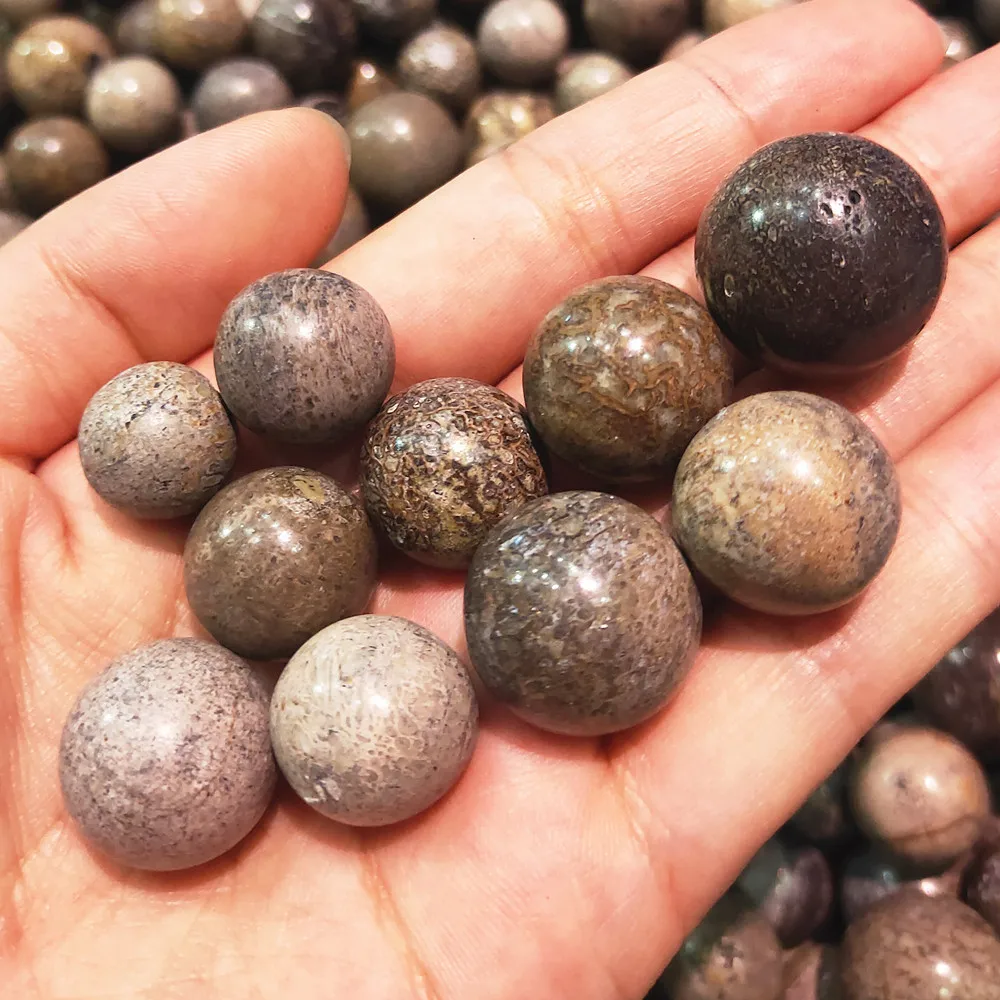 10 pcs Natural dinosaur bone quartz balls crystal ball gemstone sphere home decor healing