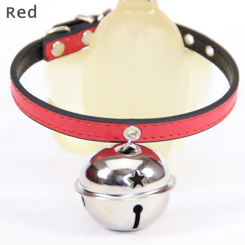 New Big Bell Puppy …