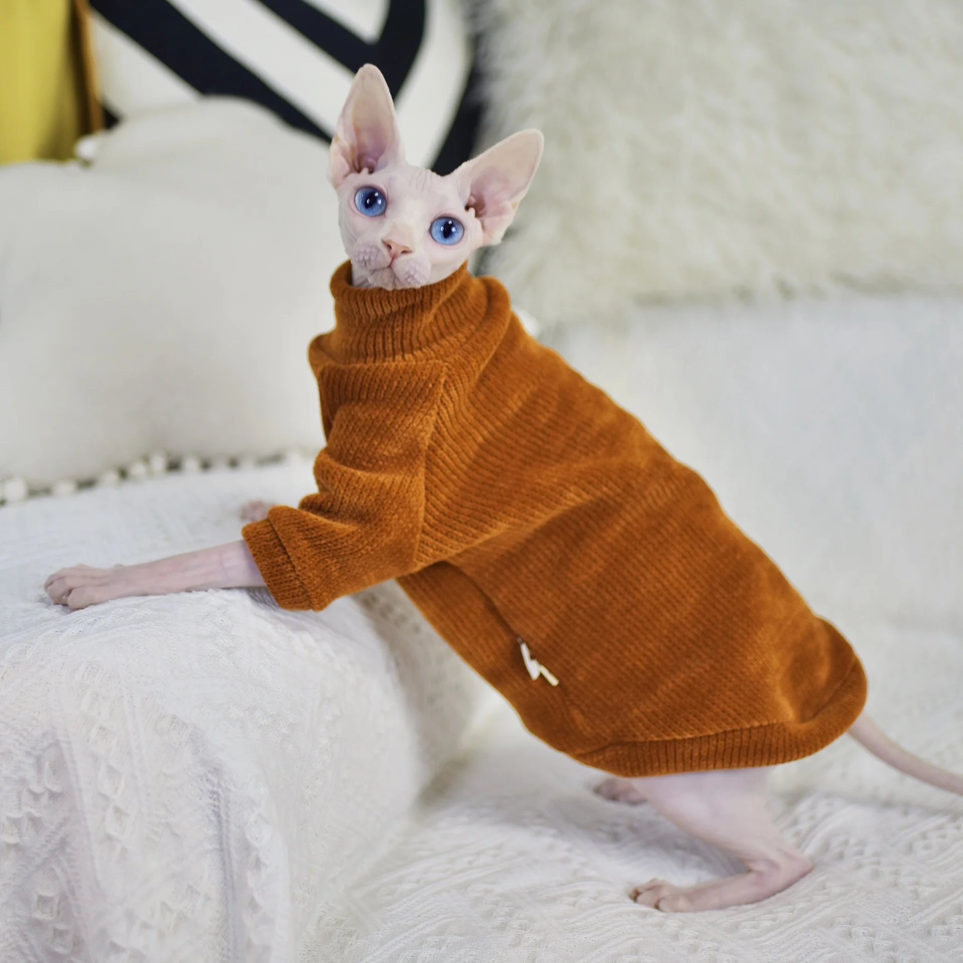 The material in the pet shop is too comfortable. The owner keeps chenille hairless cat clothes and thickens them in winter