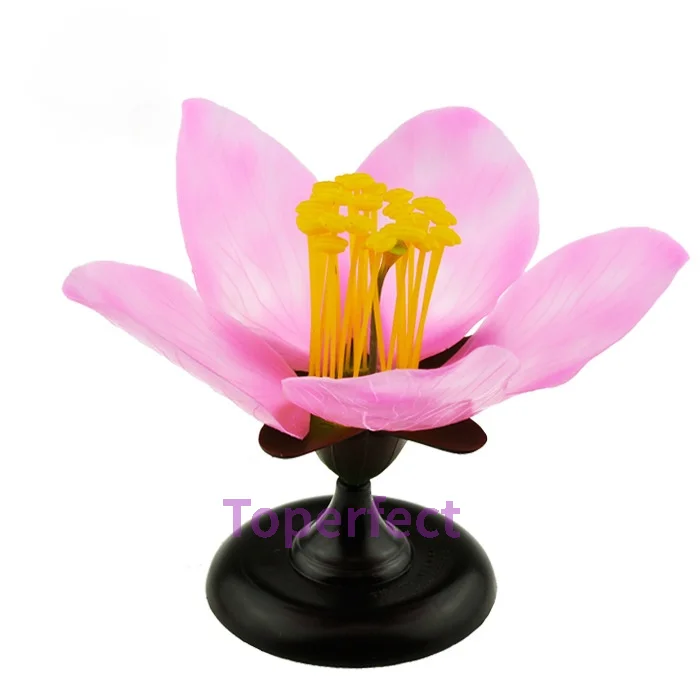 Detachable Giant Dicot Flower Peach Blossom Flower Anatomy Model Plant Anatomical Model Biology Teaching Experiment Equipment