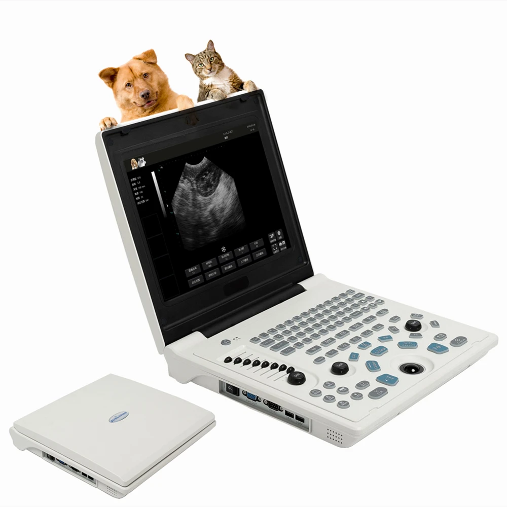 12 Inch LED Pet Veterinary Animal VET Notebook Ultrasound USG Scanner Machine