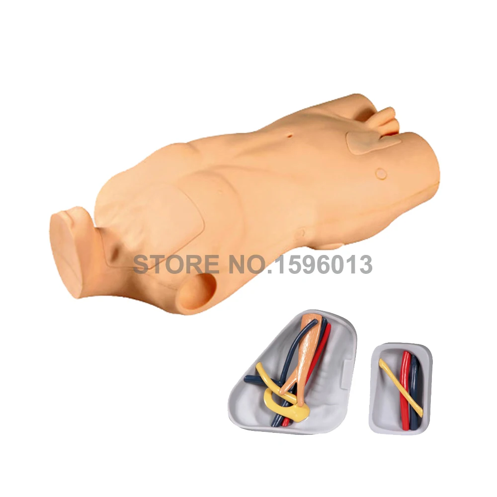 

Central Venous Catheterization and Injection Training Manikin Venipuncture IV Torso Simulator