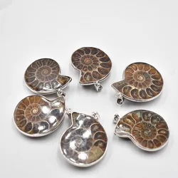 Wholesale 4pcs/lot fashion Natural Stone Ammonite Snail shell Conch pendants for jewelry Accessories making free shipping