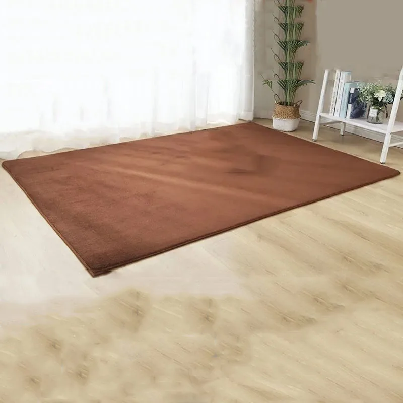 

Living Room Bedroom Floor Mat Bathroom Absorbent Floor Mat Household Non Slip Bottom Carpet Four Seasons Universal Carpet